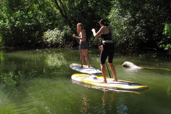 paddleboarding on river in nicoya peninsula