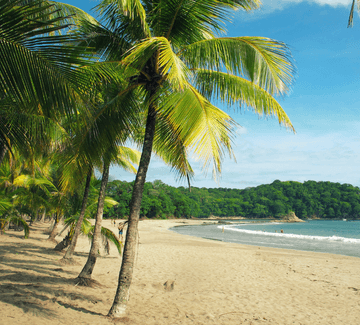 empty white-sand beach with palm trees on the nicoya peninsula