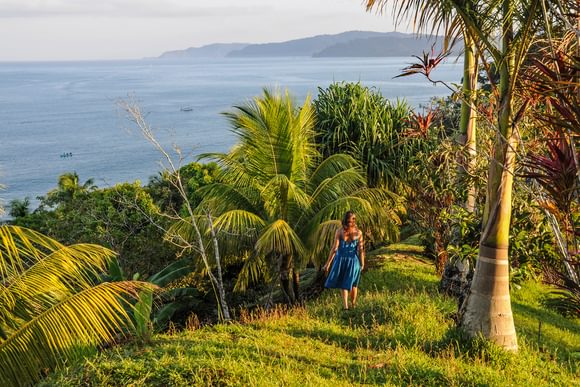 Woman walking barefoot along a deserted tropical beach with gentle waves lapping at the shore, backed by lush rainforest and palm trees under a hazy, golden sky.