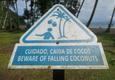 Costa rica osa golfo dulce coconuts sign c thomas power pura aventura