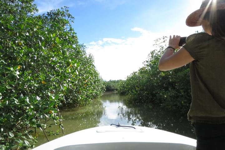 Costa rica osa golfo dulce mangroves c thomas power pura aventura