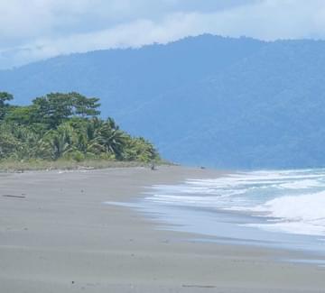 wild pacific beach osa peninsula