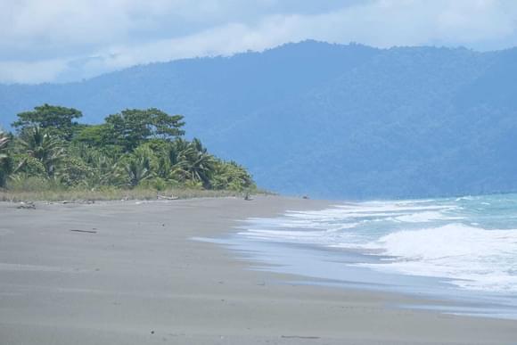 wild pacific beach osa peninsula