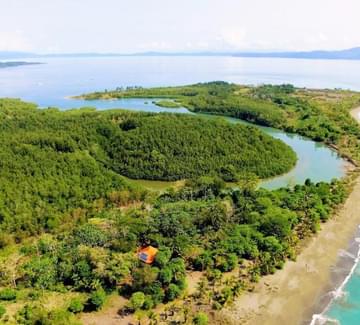 an aerial view of punta preciosa beaches and rainforest on the osa peninsula