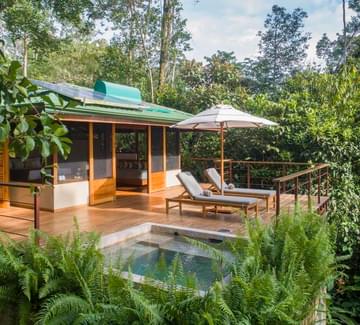 cabin with plunge pool on wooden terrace immersed in lush vegetation