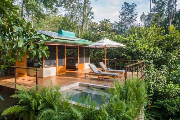 cabin with plunge pool on wooden terrace immersed in lush vegetation