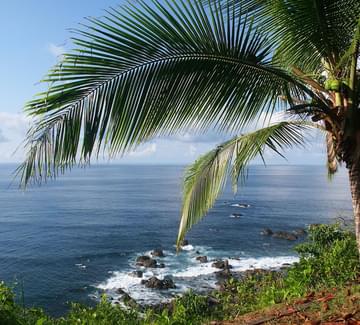 caño island biological reserve