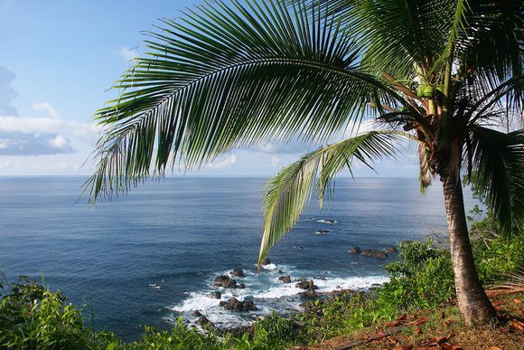 caño island biological reserve