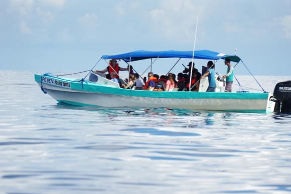 osa Peninsula cano island snorkel