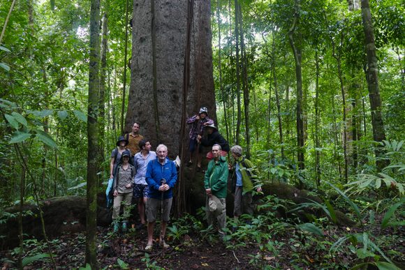 a family with people ranging from children to grandparents pose between a tree with huge butress roots in corcovado national park