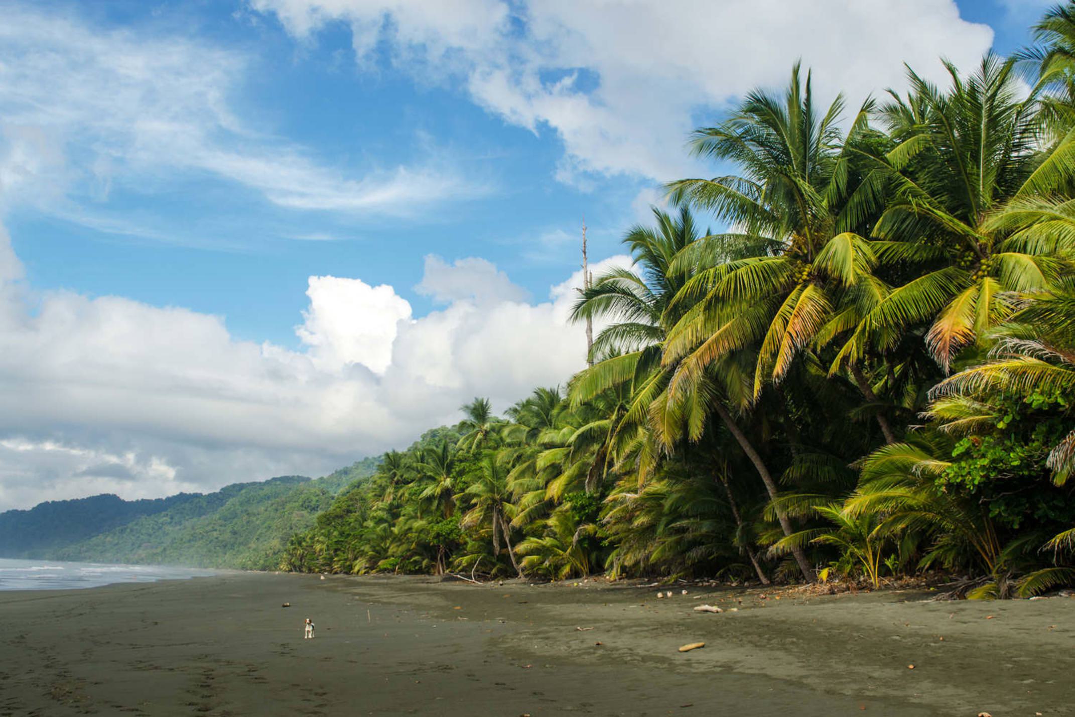 Wild beach, Corcovado National Park