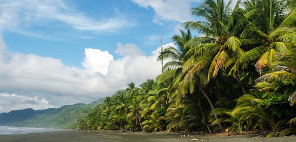 Wild beach, Corcovado National Park