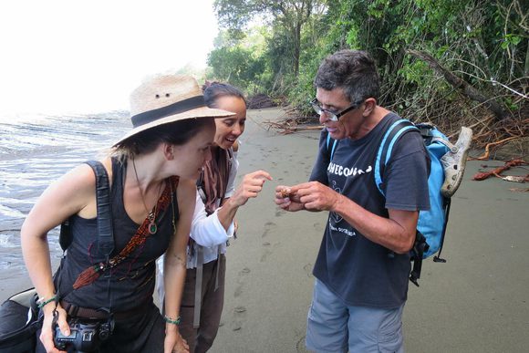 wildlife guide showing a hermit crab to two female travllers on a wild beach on the osea peninsula