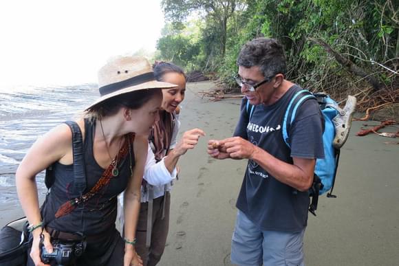 guide showing a hermit crab to two females travellers on a beach on the osa peninsula
