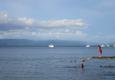 Municipal diving board, Puerto Jiménez