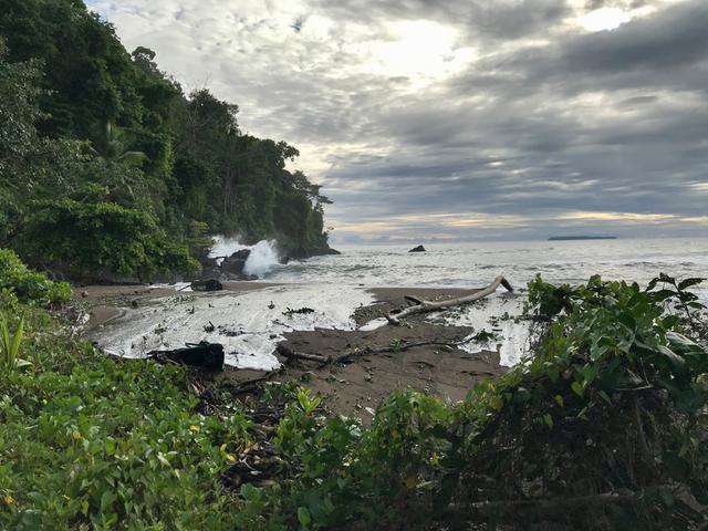 Costa rica osa peninsula drake bay beach 2 c thomas power pura aventura