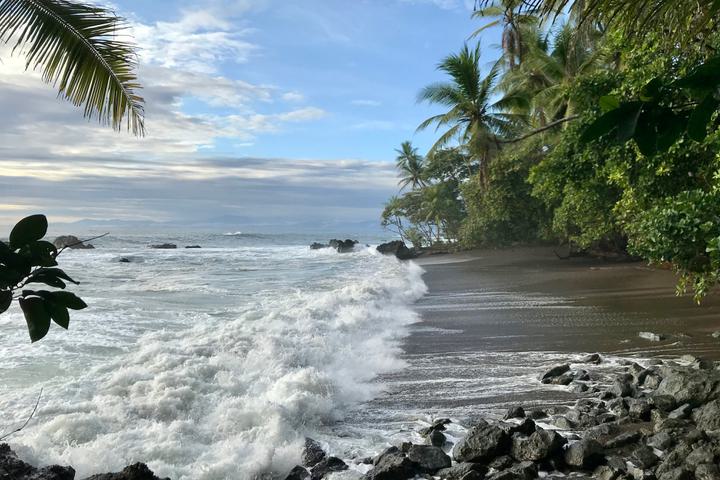 Costa rica osa peninsula drake bay beach c thomas power pura aventura