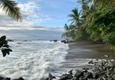 Costa rica osa peninsula drake bay beach c thomas power pura aventura