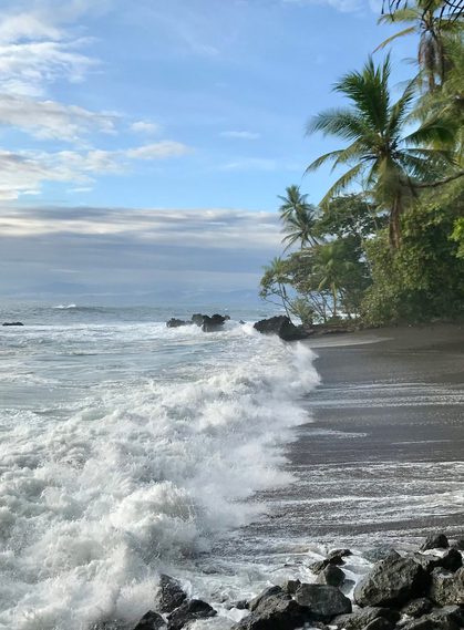 Costa rica osa peninsula drake bay beach c thomas power pura aventura