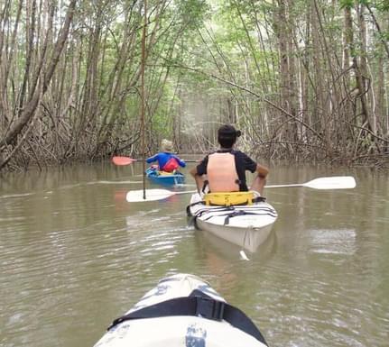 Kayaking past magroves, Osa Peninsula