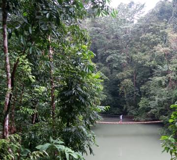 crossing hanging bridge near drake bay