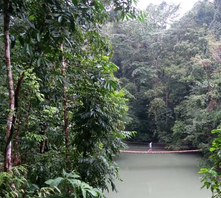 Hanging bridge, Drake Bay