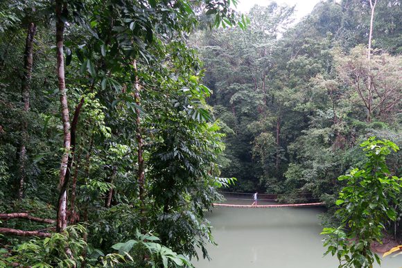 crossing hanging bridge near drake bay