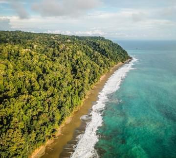 aerial view of rainforest and wild beaches of corcovado national park on the osa peninsula