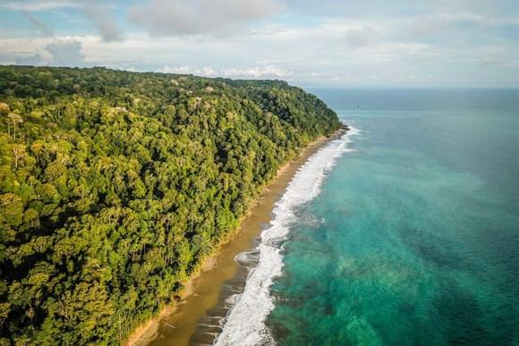 aerial view of rainforest and wild beaches of corcovado national park on the osa peninsula
