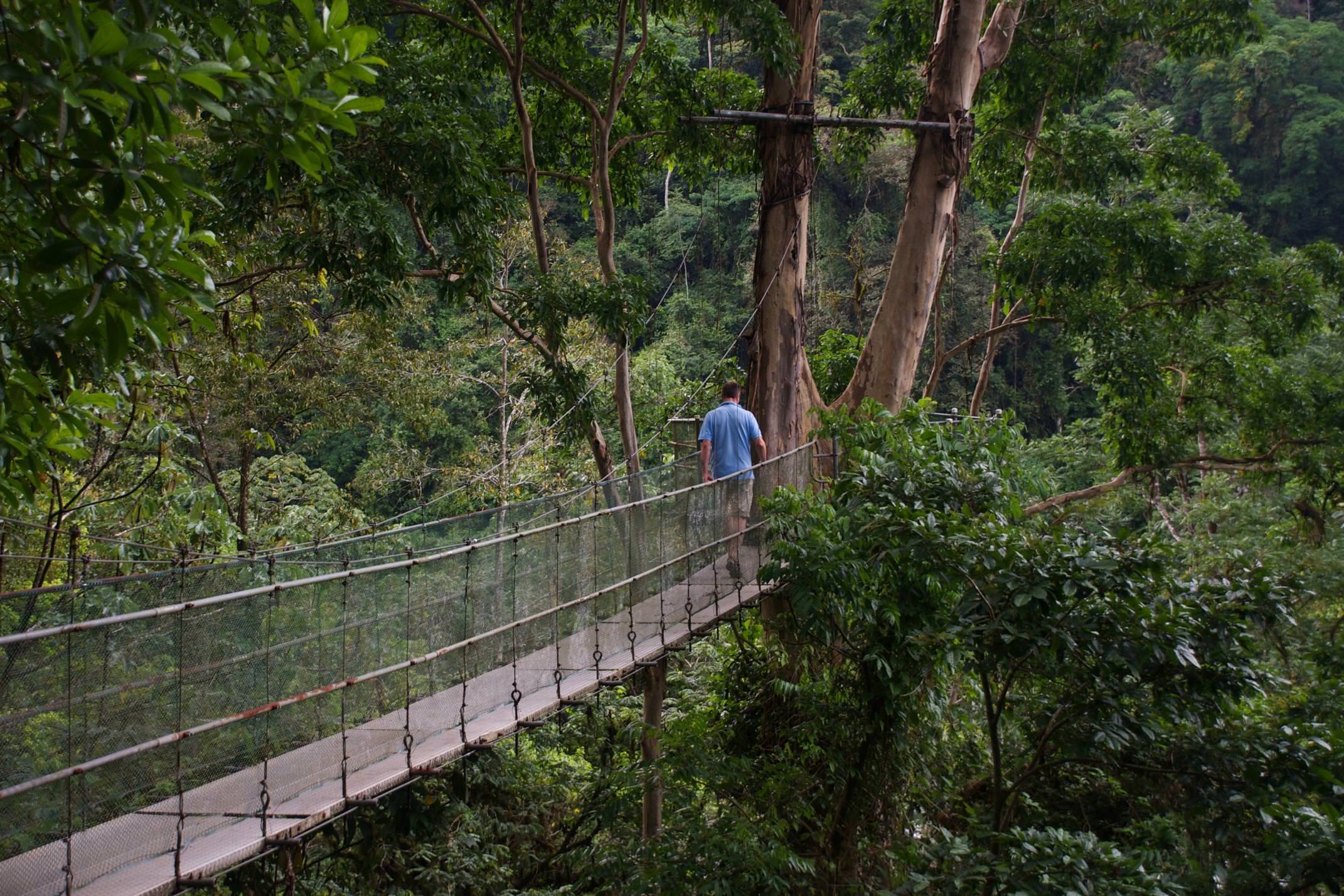 Costa rica pacuare lodge walking across canopy walkway