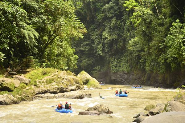 Costa rica pacuare rafting entering the gorge