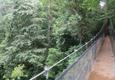 Costa rica piedras blancas bridge c thomas power pura aventura