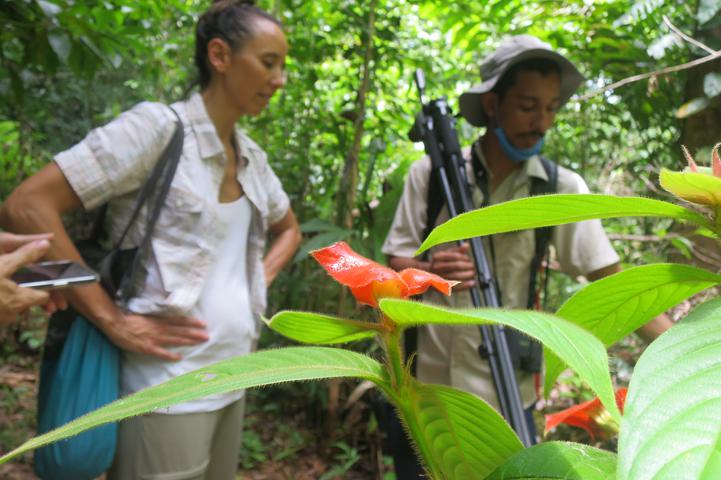 Costa rica penas blancas hot lips c thomas power pura aventura