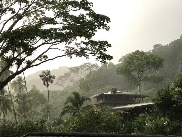 Costa rica playa cativo golfo dulce afternoon rains c thomas power pura aventura