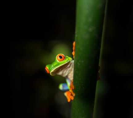 Costa rica rio perdido lodge 7