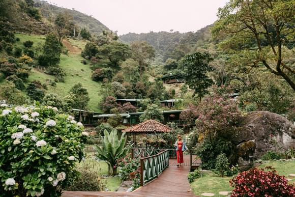 Wooden cabins with red roofs nestled among lush green trees in the cloud forest at Trogon Lodge, San Gerardo de Dota, Costa Rica, with mist drifting through the valley.