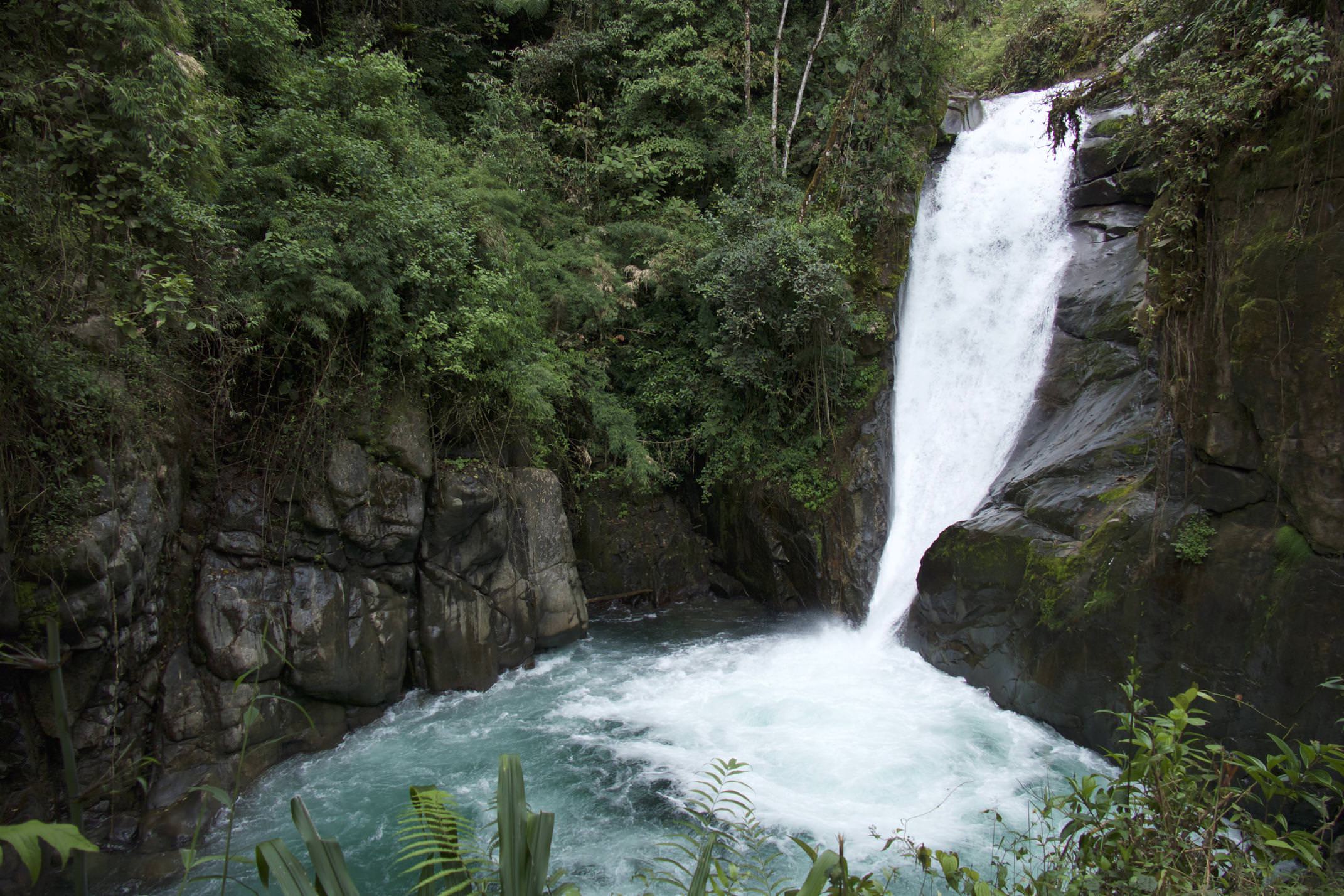 Costa rica san gerardo rivas chirripo cloudbridge catarata pacifica