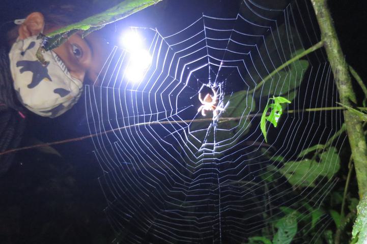 Costa rica tenorio night walk c thomas power pura aventura