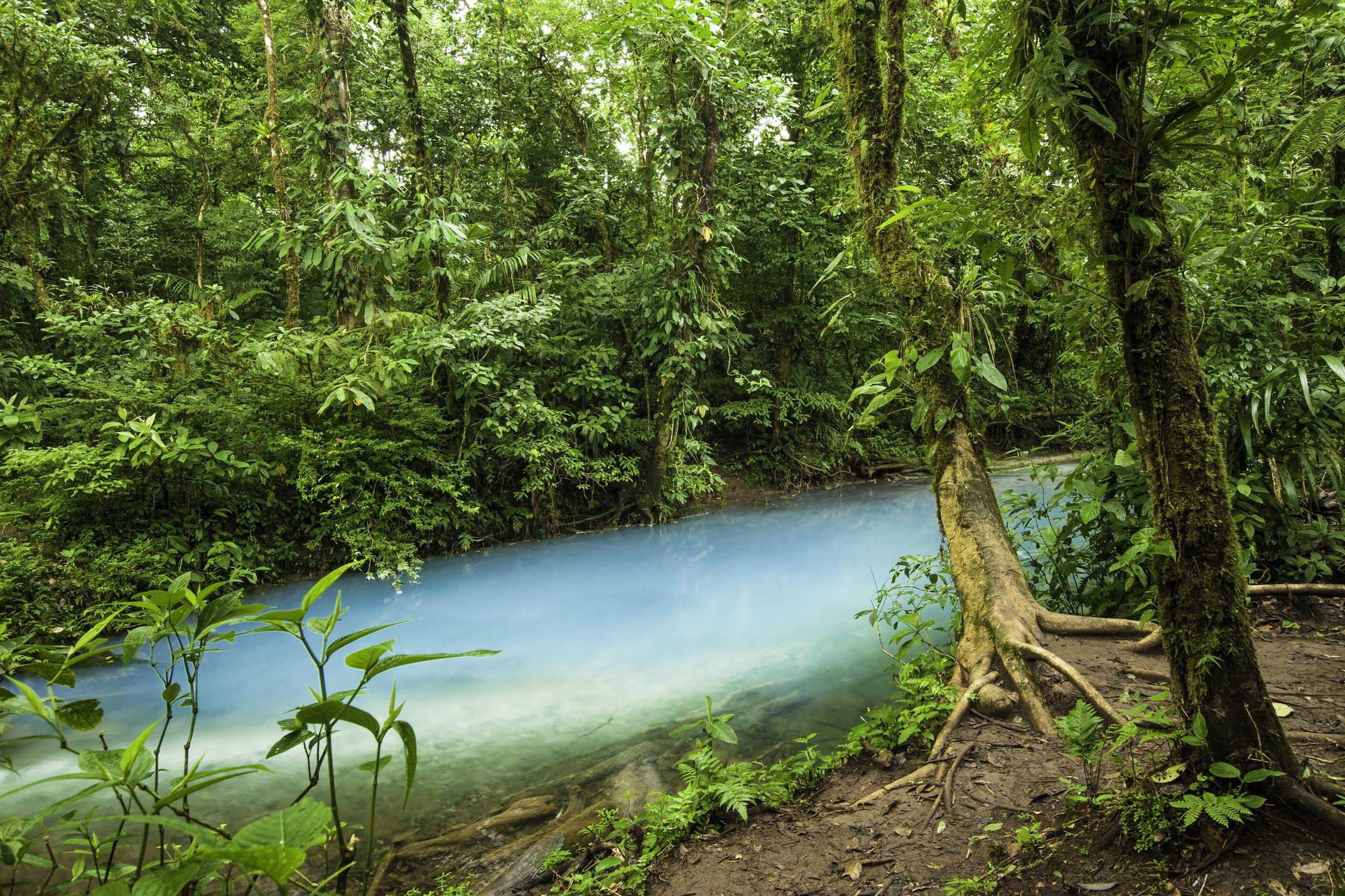 Costa rica tenorio rio celeste coloured stream william berry