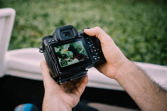 a male looks at a photo of a water bird he has taken on his dslr camera in tortuguero