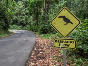 Costa rica toucan slow sign istock