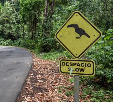 road sign with outline of a toucan telling drivers to slow down next to a paved road in the jungles of costa rica