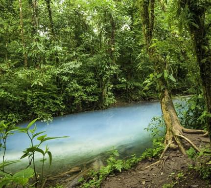Tenorio National Park