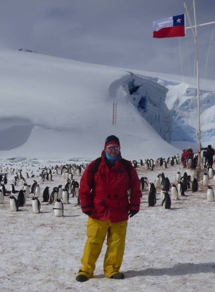 David antarctica chilean flag gentoos