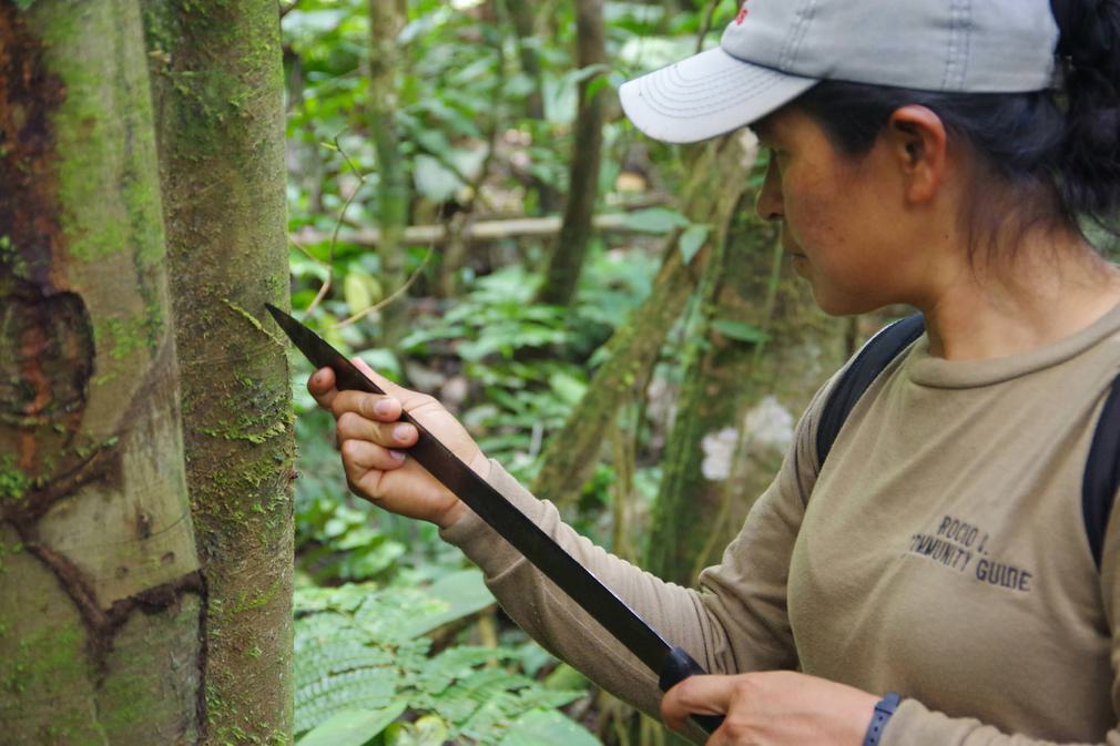 Ecuador amazon rocio guiding walk chris bladon