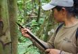 Ecuador amazon rocio guiding walk chris bladon