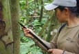 Ecuador amazon rocio guiding walk chris bladon
