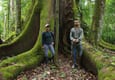 Ecuador amazon rocio sina ceiba tree chris bladon