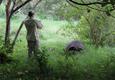 Ecuador galapagos islands guide photographing giant tortoise