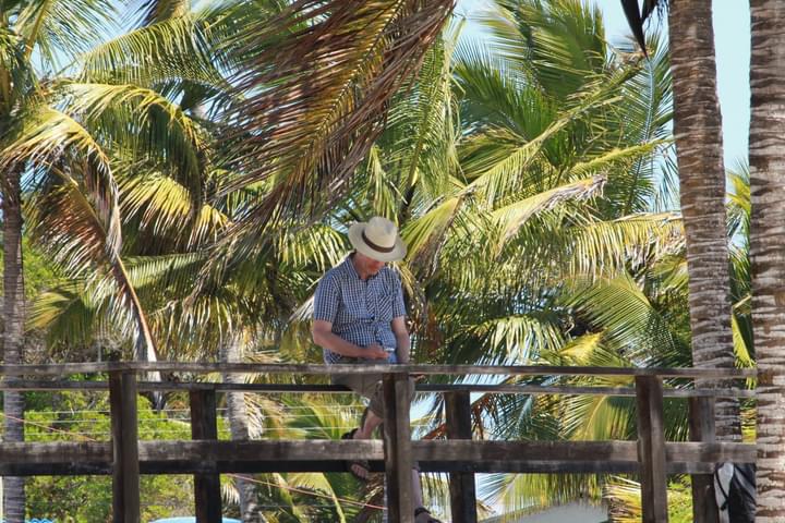 Ecuador galapagos islands land based galapagos resting in shade of palm trees